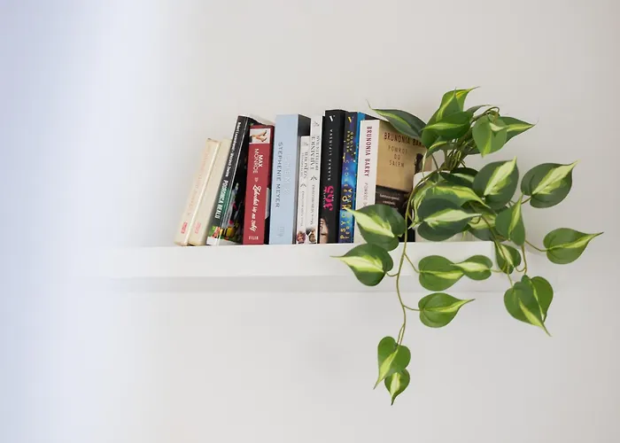 Bright With Air Conditioning Near Ogrod Saski By Renters شقة