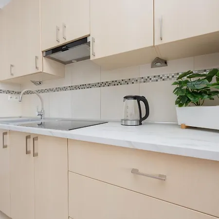 Apartment Bright With Air Conditioning Near Ogrod Saski By Renters Warschau