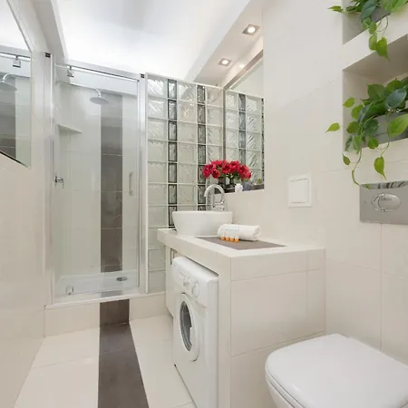 Bright With Air Conditioning Near Ogrod Saski By Renters *