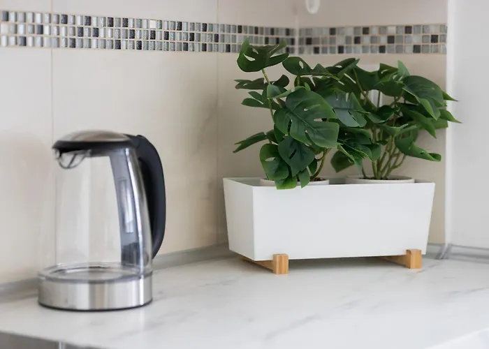 Bright With Air Conditioning Near Ogrod Saski By Renters Lejlighed